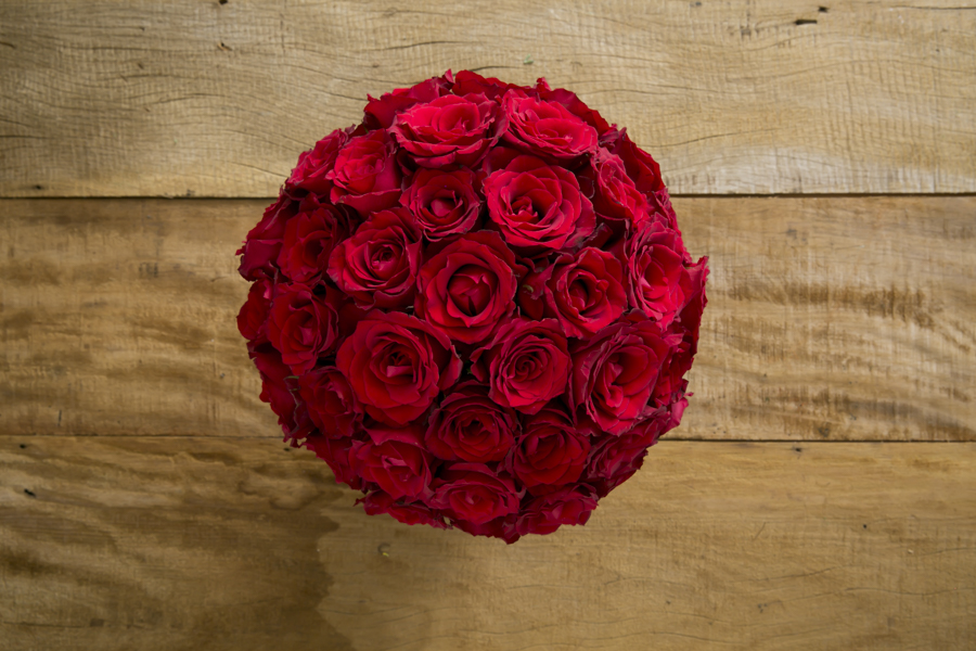 NandaFerreira_06022015_Botanique_047.jpg