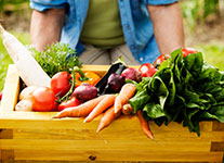 shop-img2_home3-1.jpg