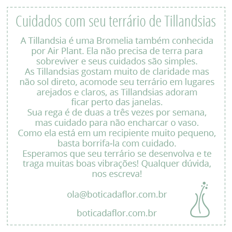 cuidados1.png