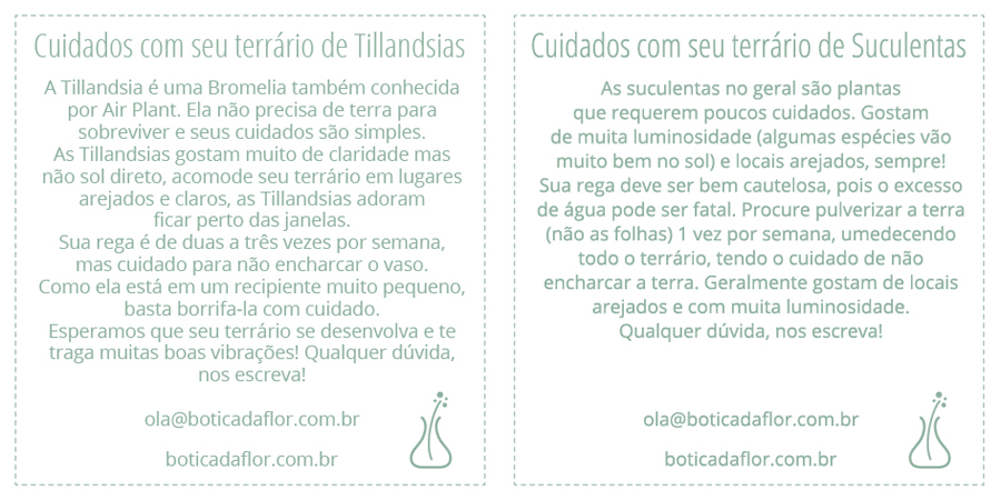 cuidados2.jpg