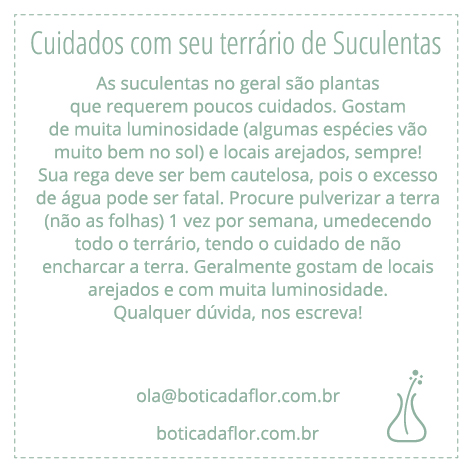 cuidados_suculentas.jpg