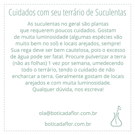 cuidados_suculentas.png